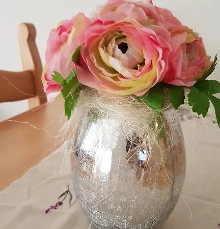 Apartamento Santos Vrsar