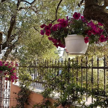 Apartamento Santos Vrsar