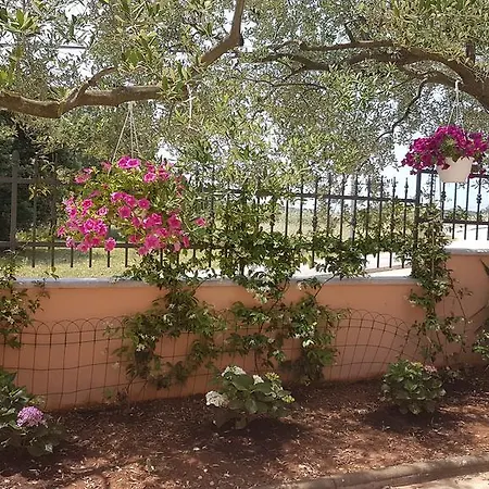 Apartman Santos