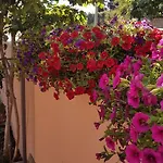 Apartament Santos *