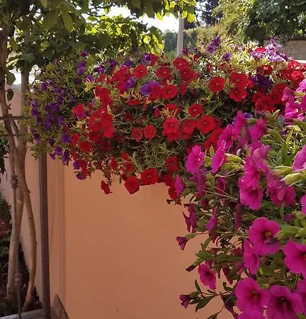 Appartement Santos *