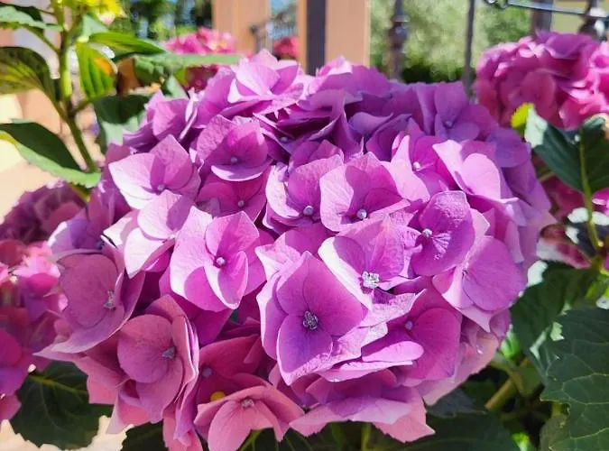 Santos 아파트 브르사르