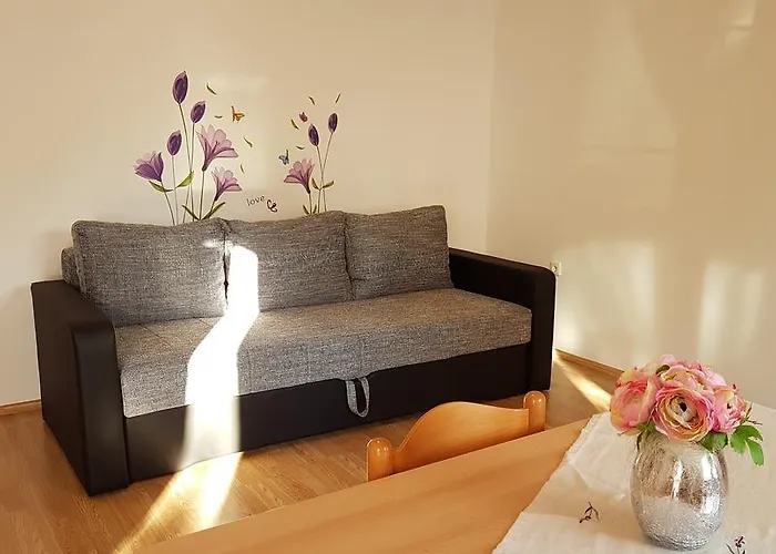 Santos * 브르사르