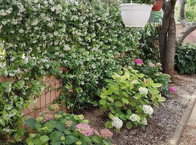 Santos * 브르사르